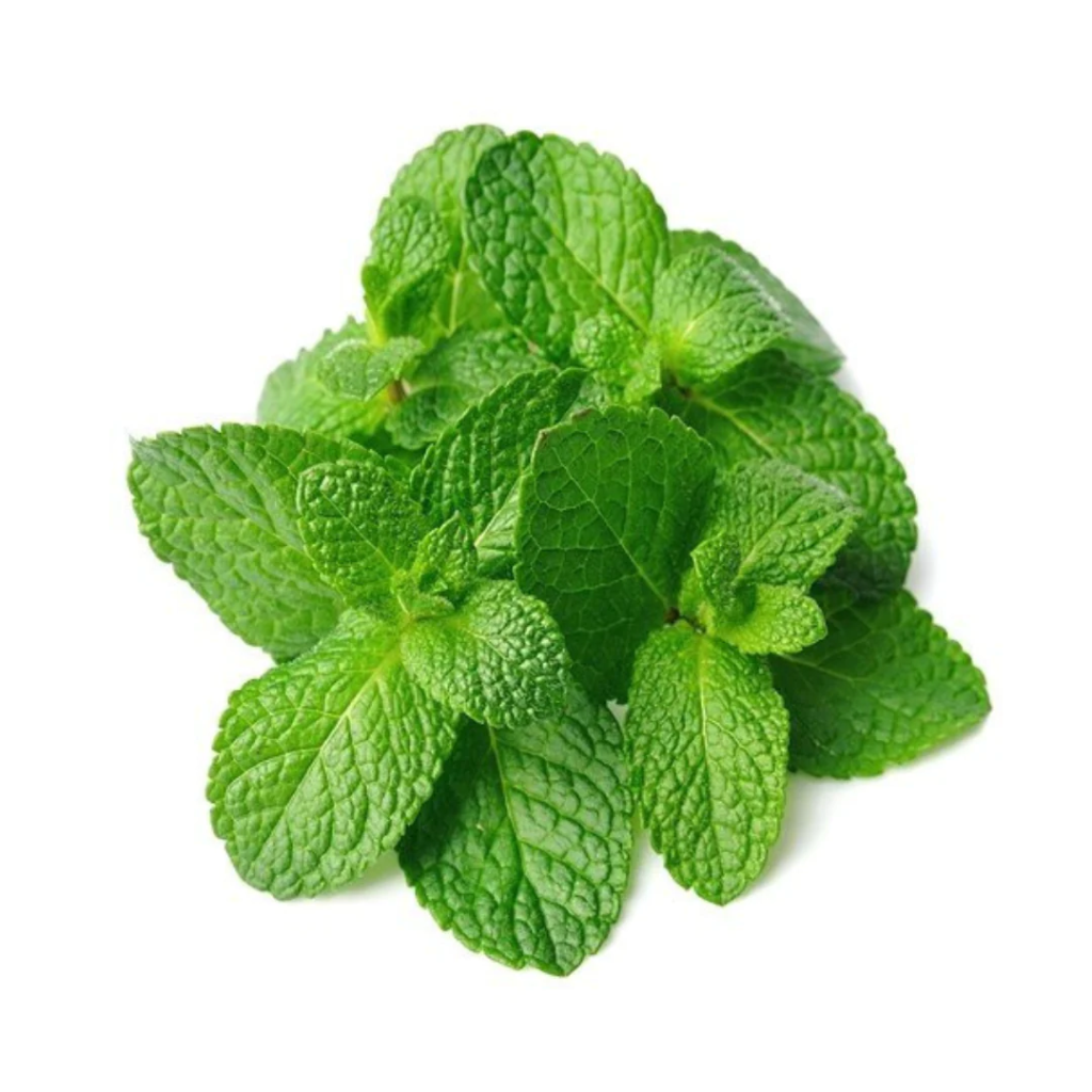 Mint Leaves (per kg)