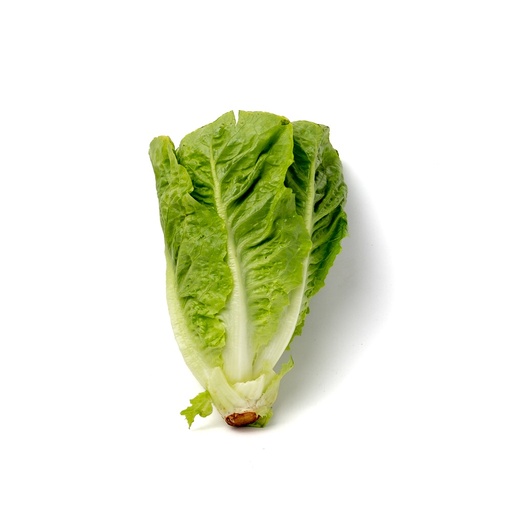 Lettuce - Romaine (per kg)