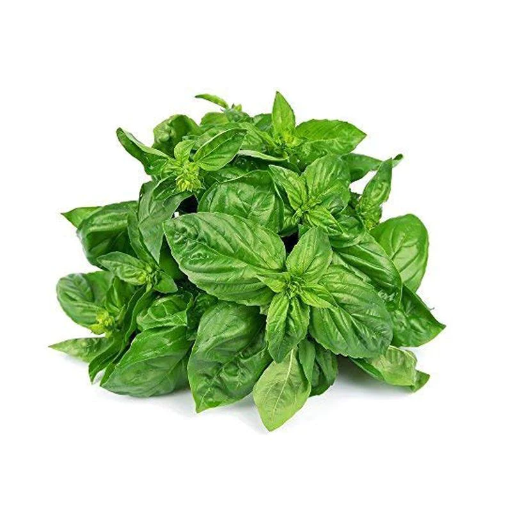 Basil Leaves (per kg)
