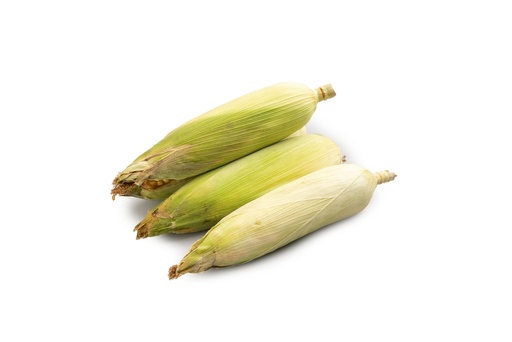 Corn (Japanese Corn) (per kg)